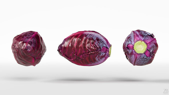 Cabbage 3D model 5