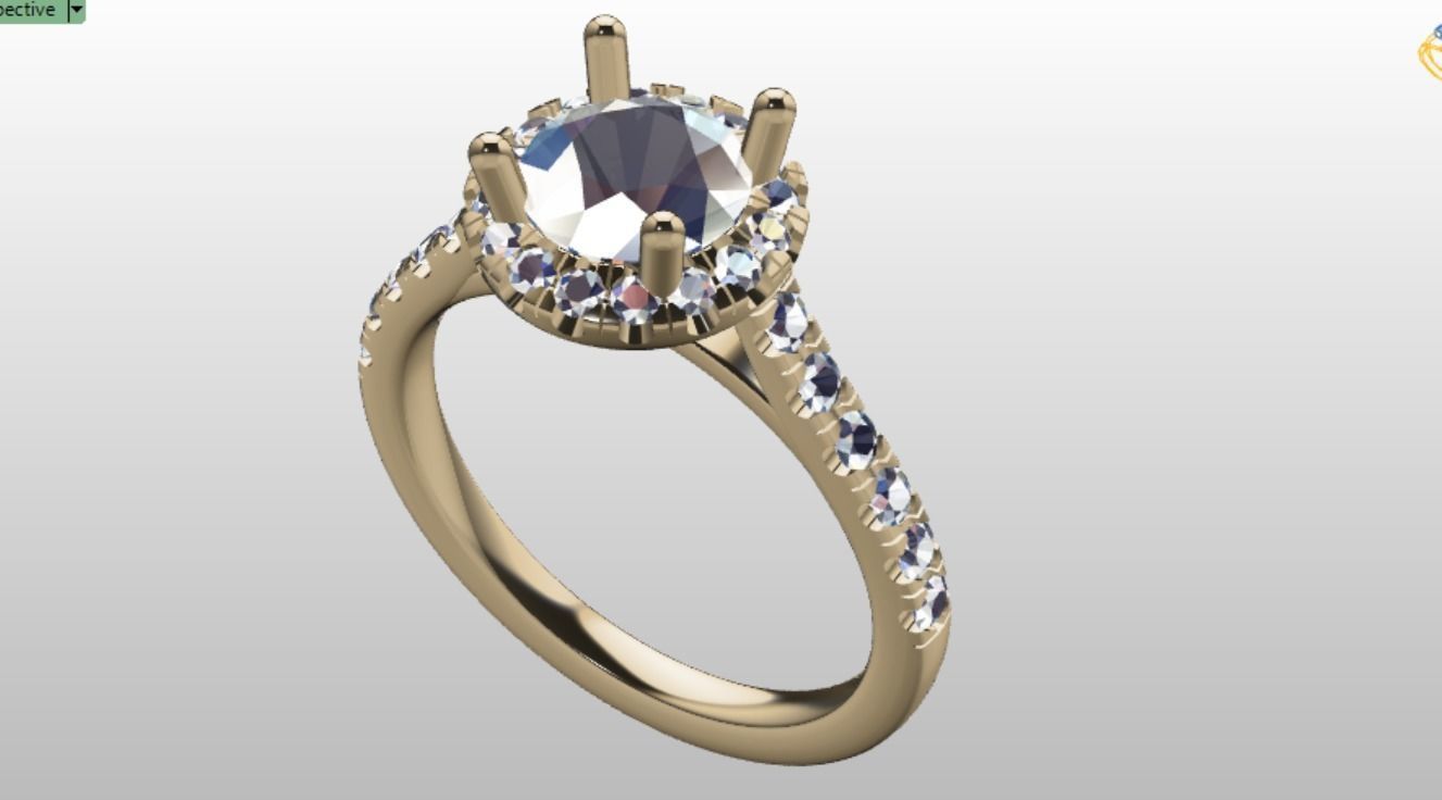 hailo ring 3D print model_8