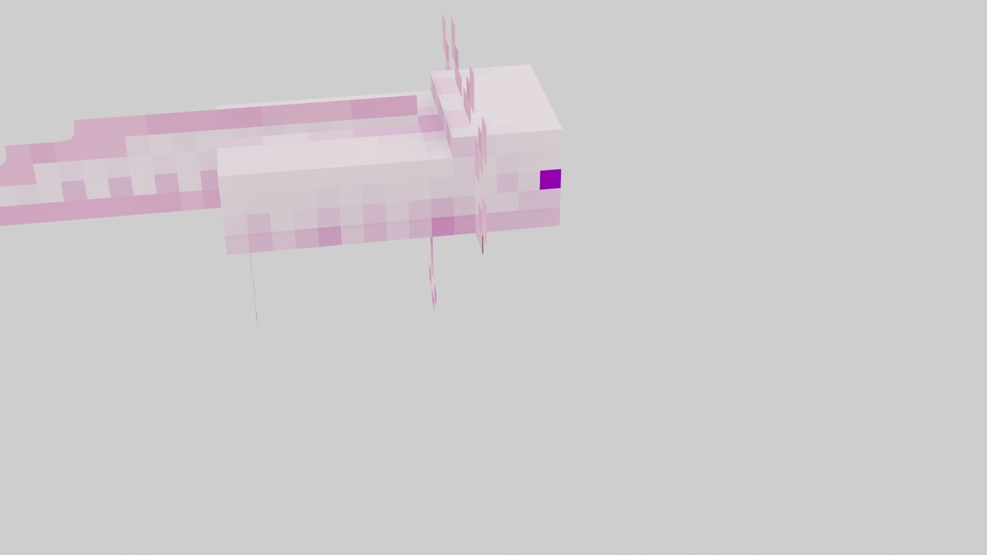 Mineraft Axolotl Rigged Low-poly 3D model_12