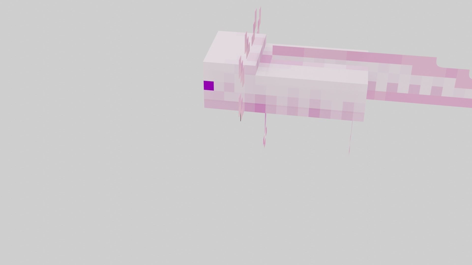 Mineraft Axolotl Rigged Low-poly 3D model_28