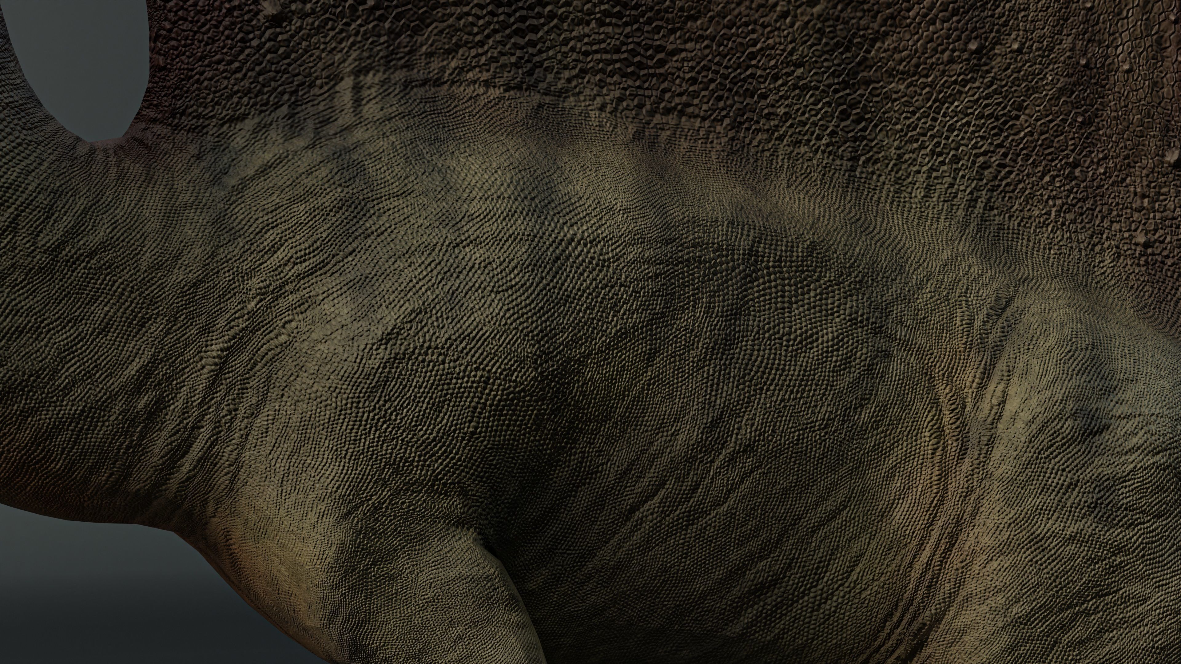 Spinosaurus dinosaur Low-poly 3D model_7