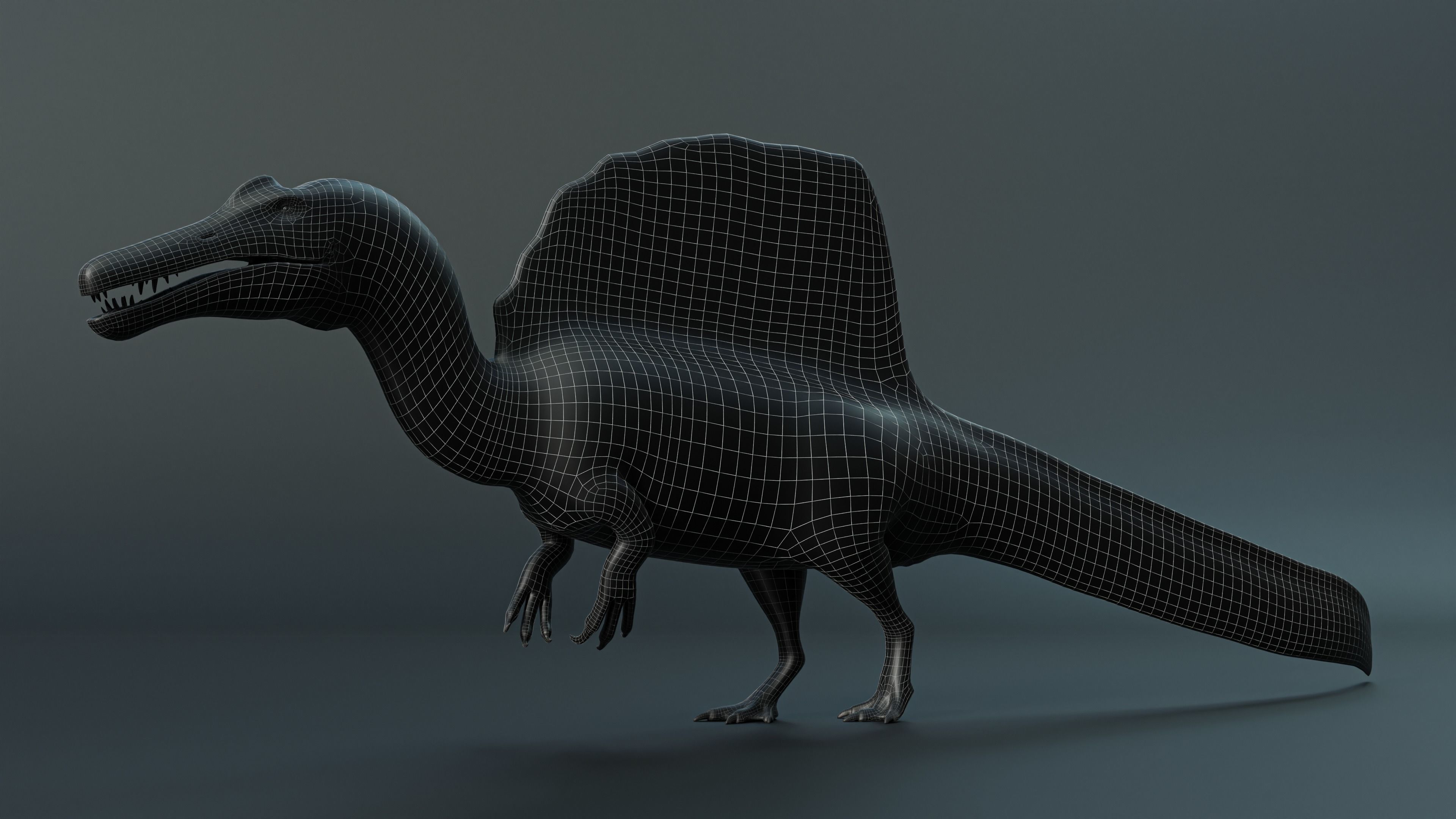 Spinosaurus dinosaur Low-poly 3D model_4