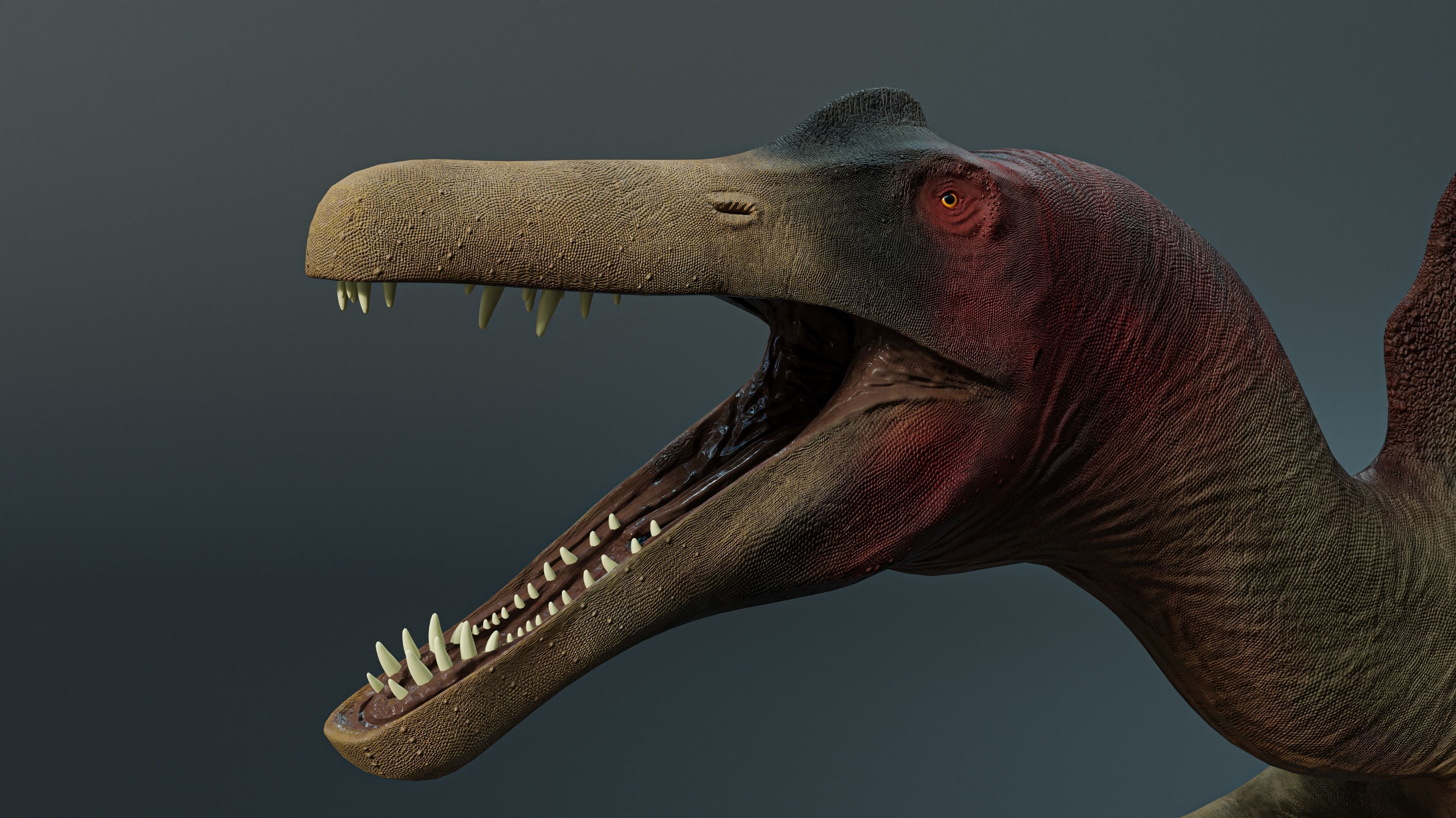 Spinosaurus dinosaur Low-poly 3D model_5