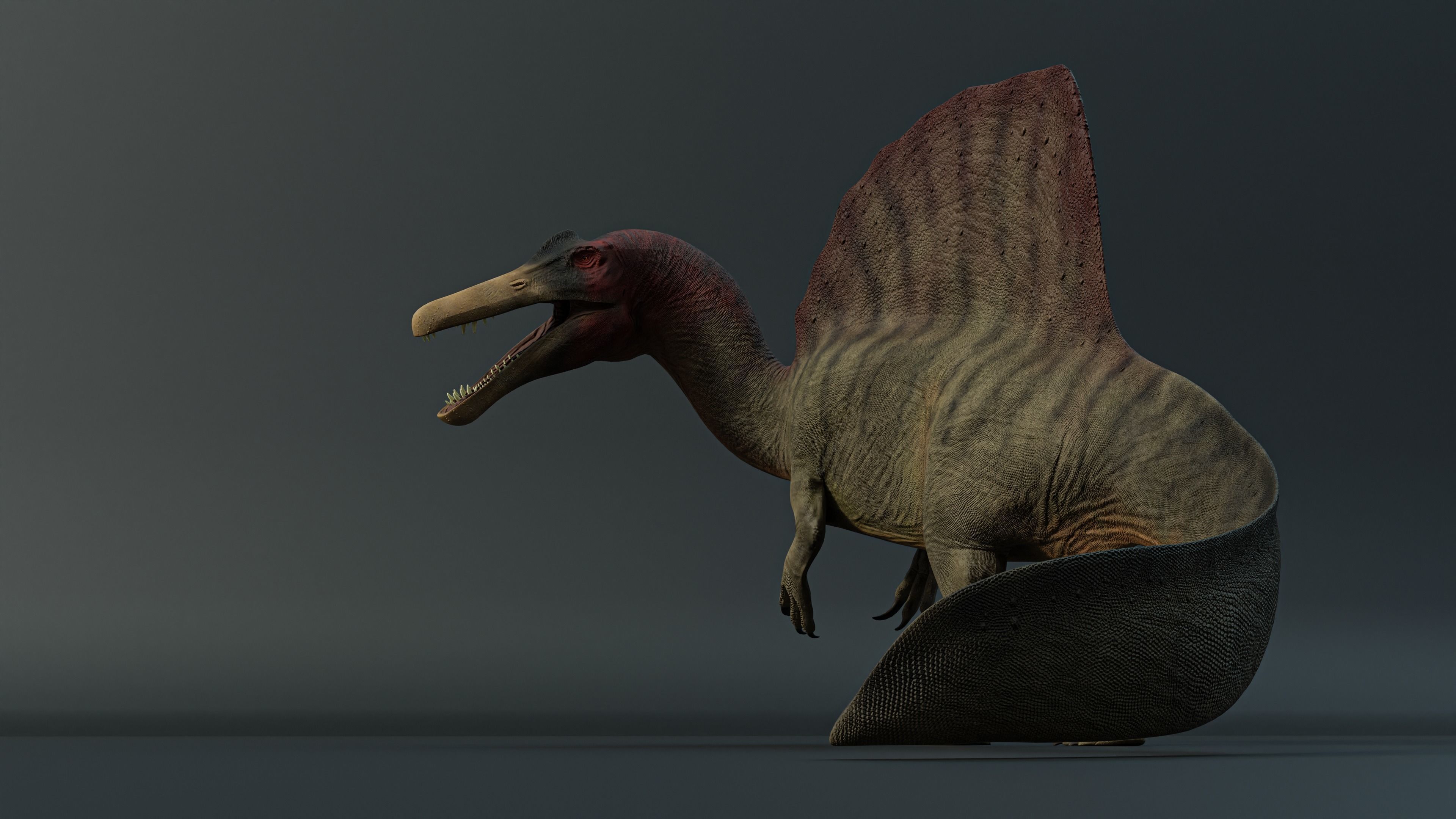 Spinosaurus dinosaur Low-poly 3D model_6
