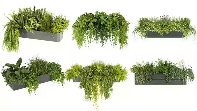 Collection plant vol 01 balcony 