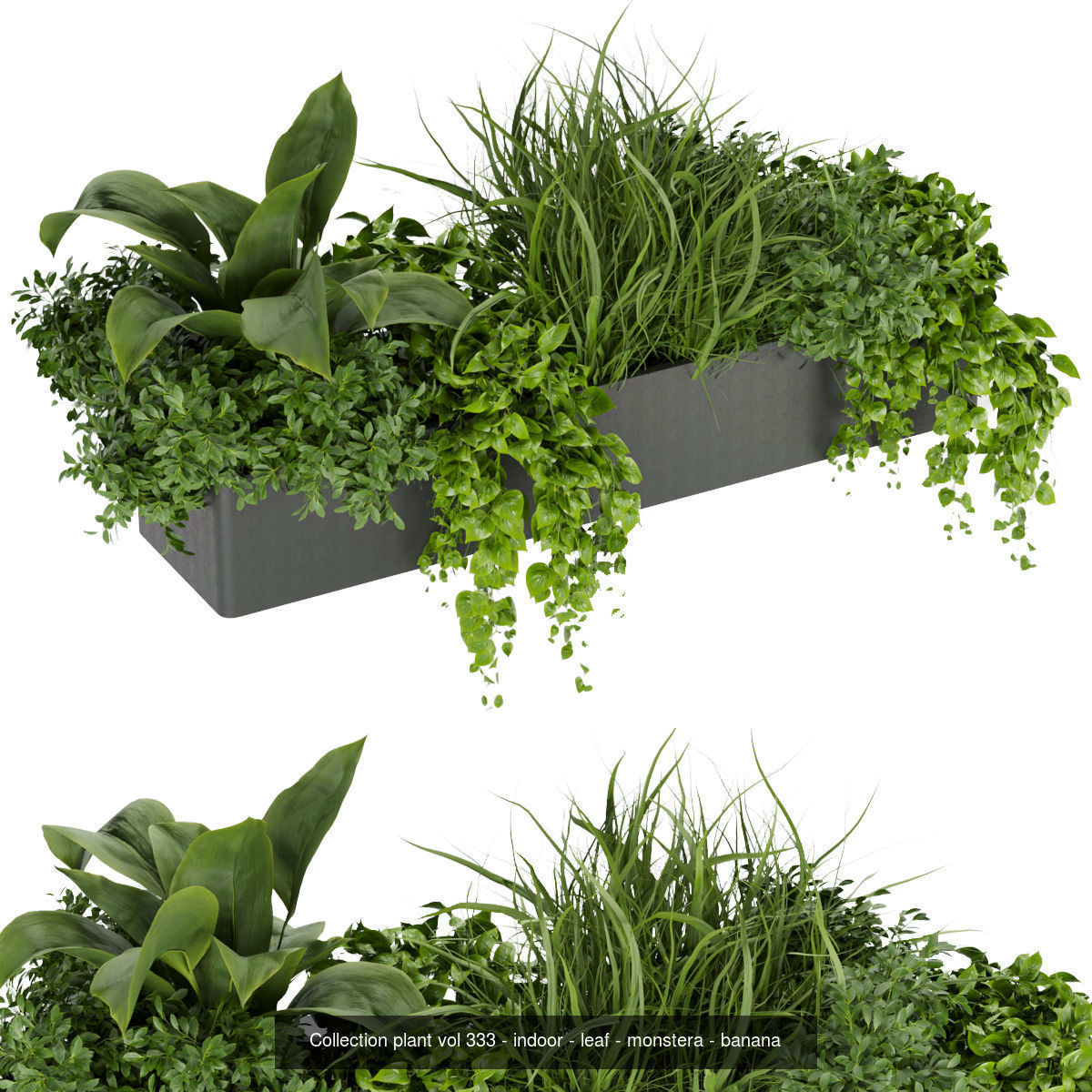 Collection plant vol 01 balcony  _5