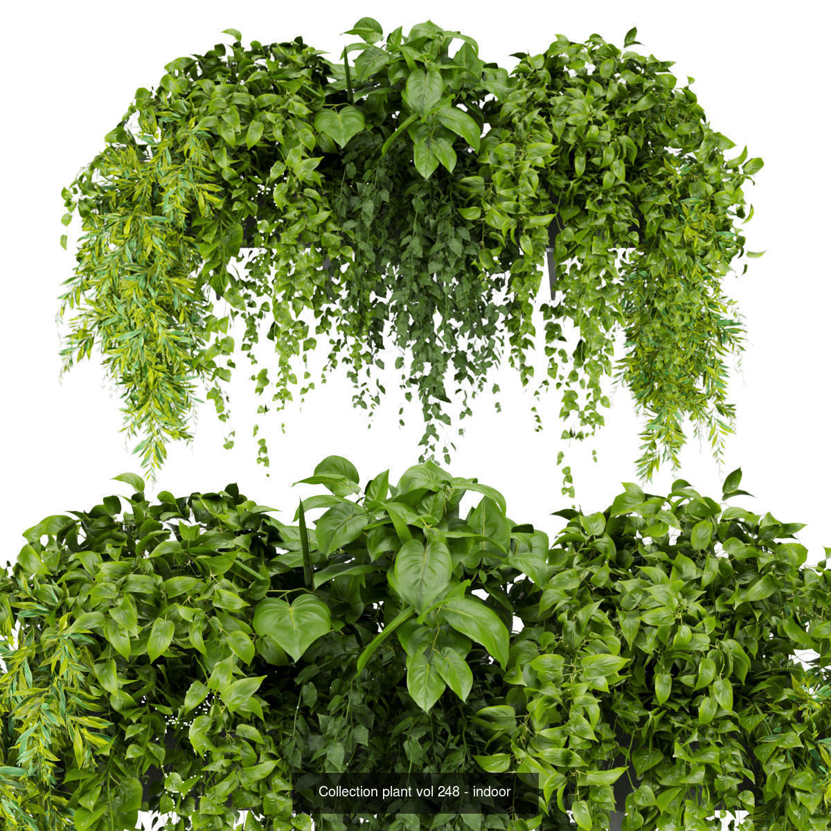 Collection plant vol 01 balcony  _4