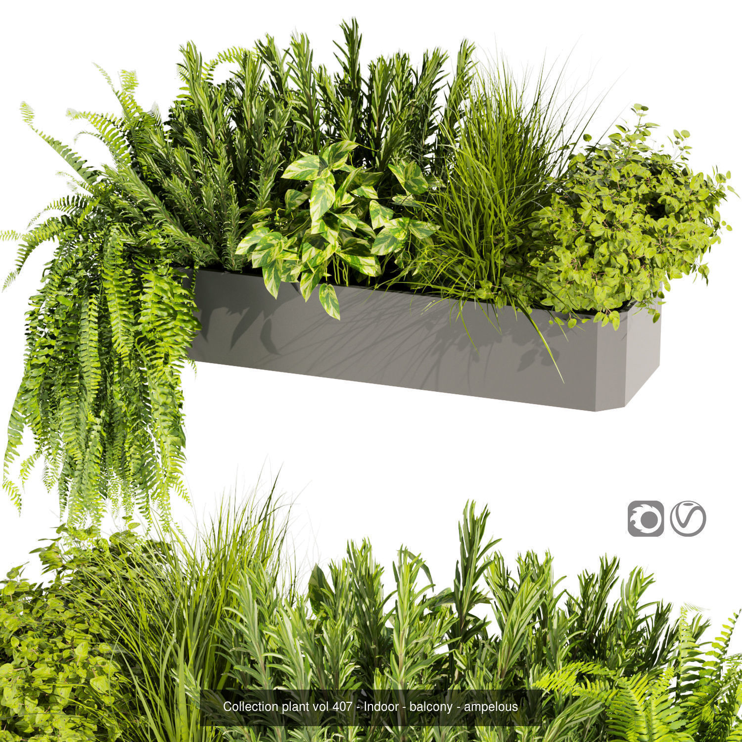 Collection plant vol 01 balcony  _7