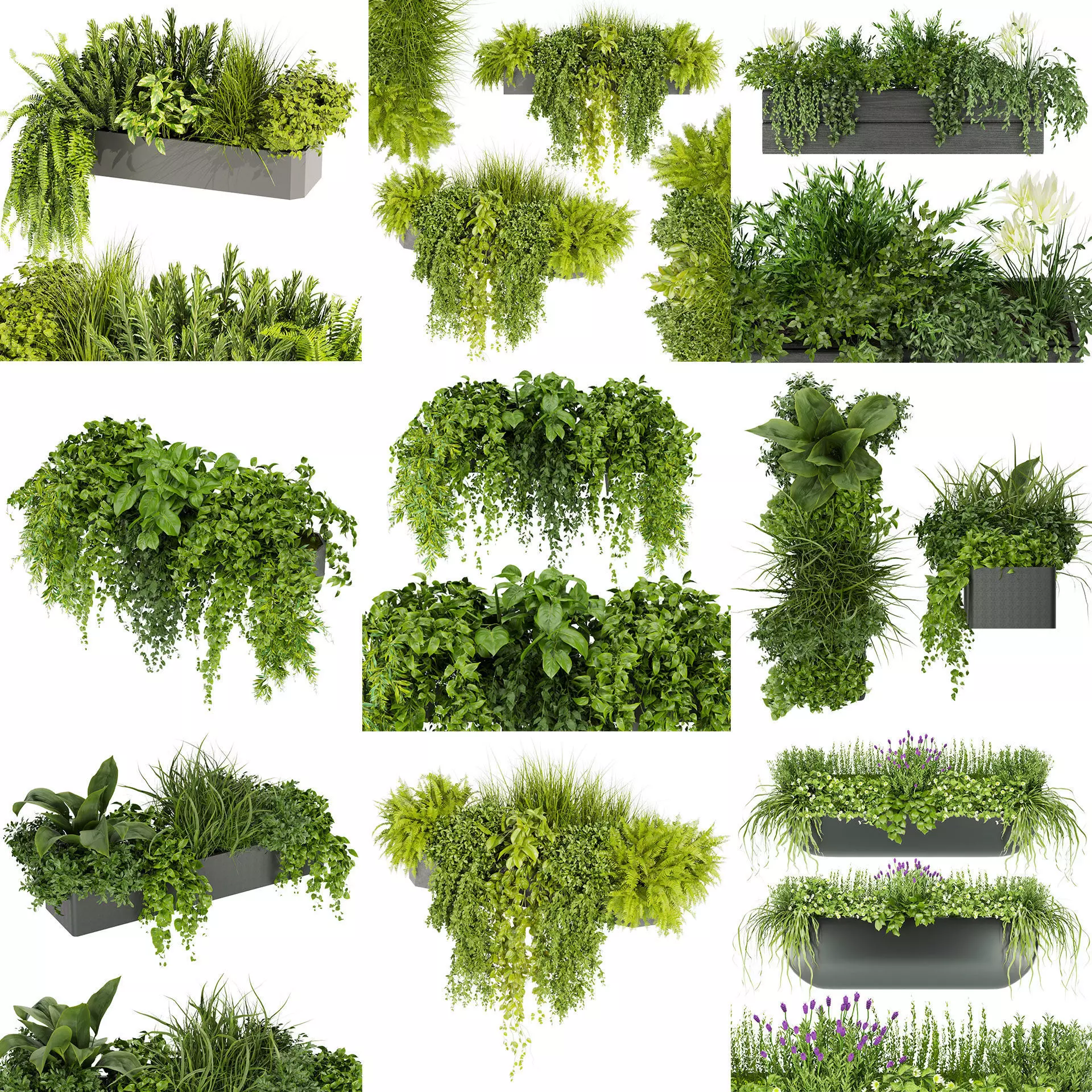 Collection plant vol 01 balcony  _1