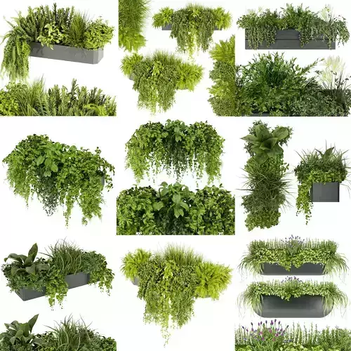 Collection plant vol 01 balcony  