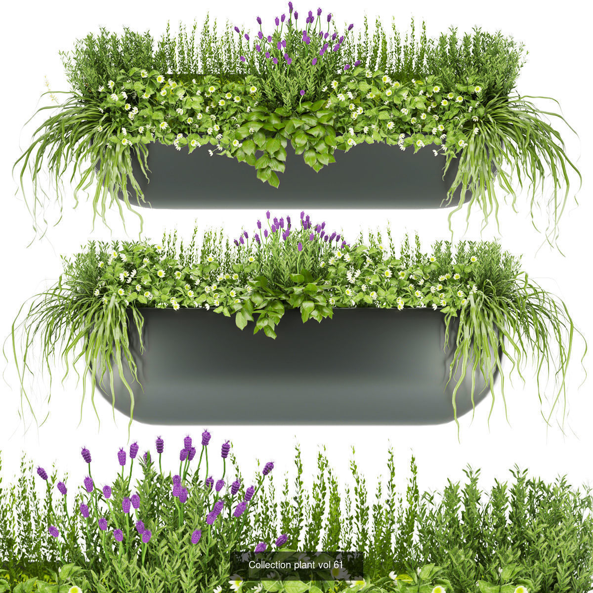 Collection plant vol 01 balcony  _2