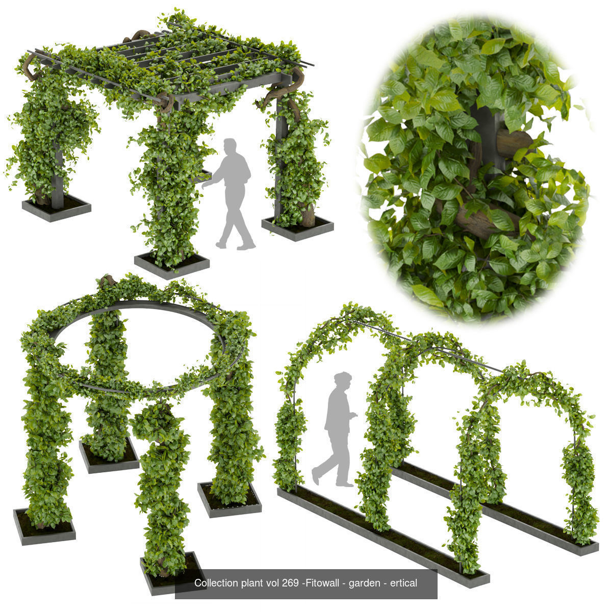 Collection plant vol 02 - fitowall - ertical  _25