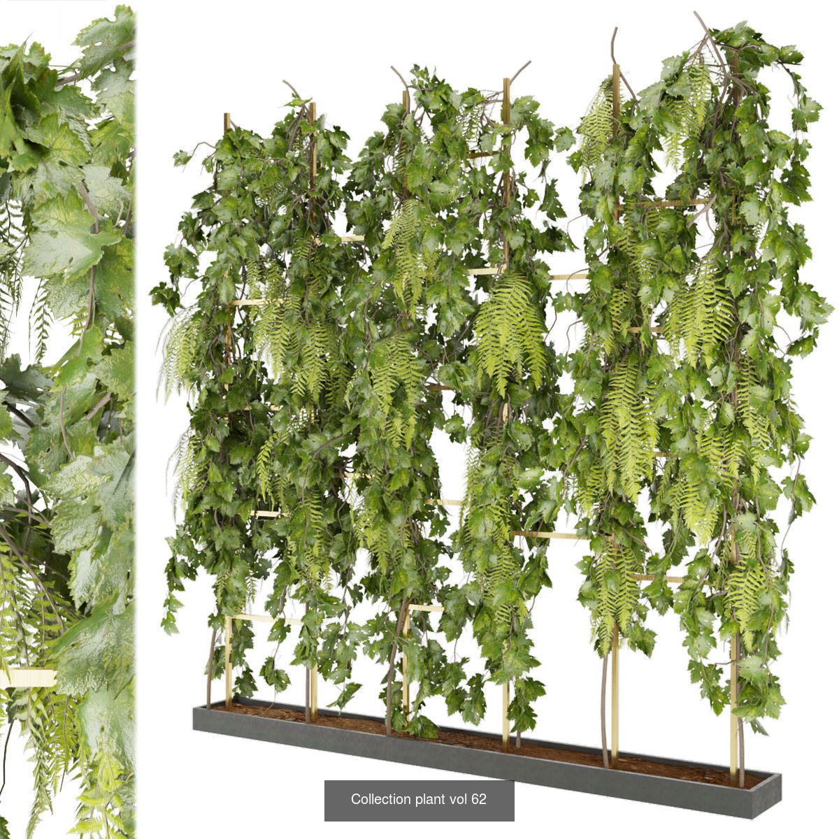 Collection plant vol 02 - fitowall - ertical  _11