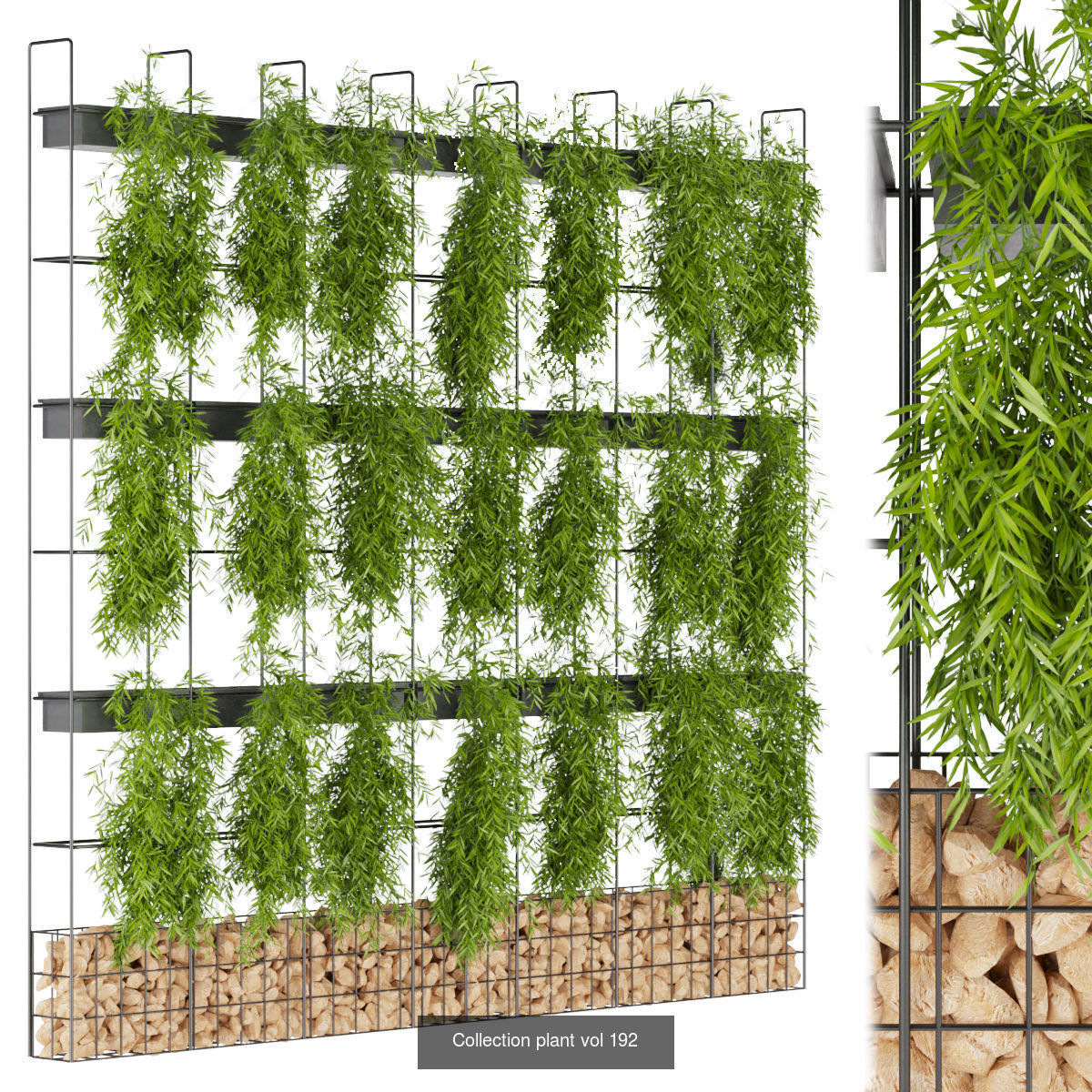 Collection plant vol 02 - fitowall - ertical  _23