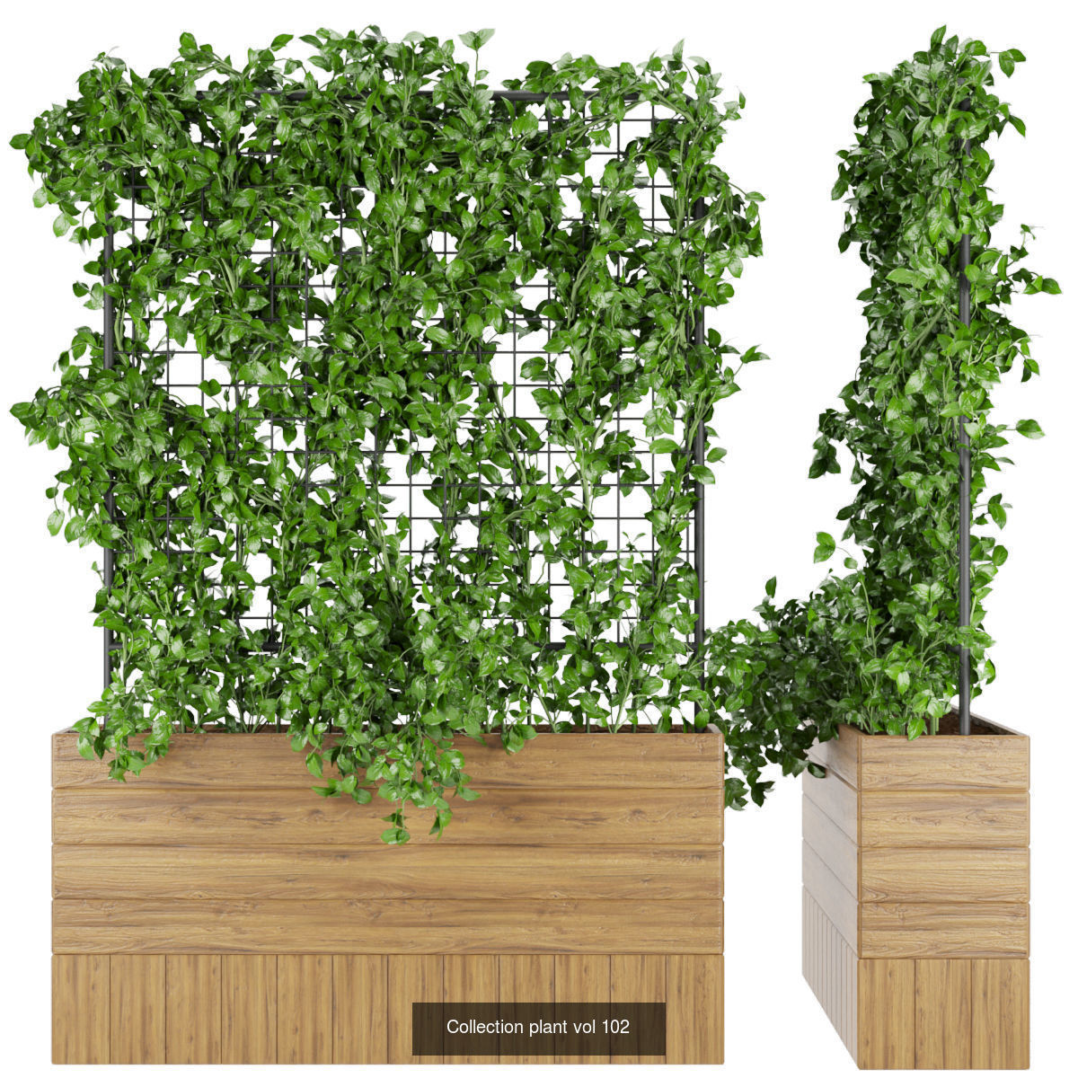Collection plant vol 02 - fitowall - ertical  _17