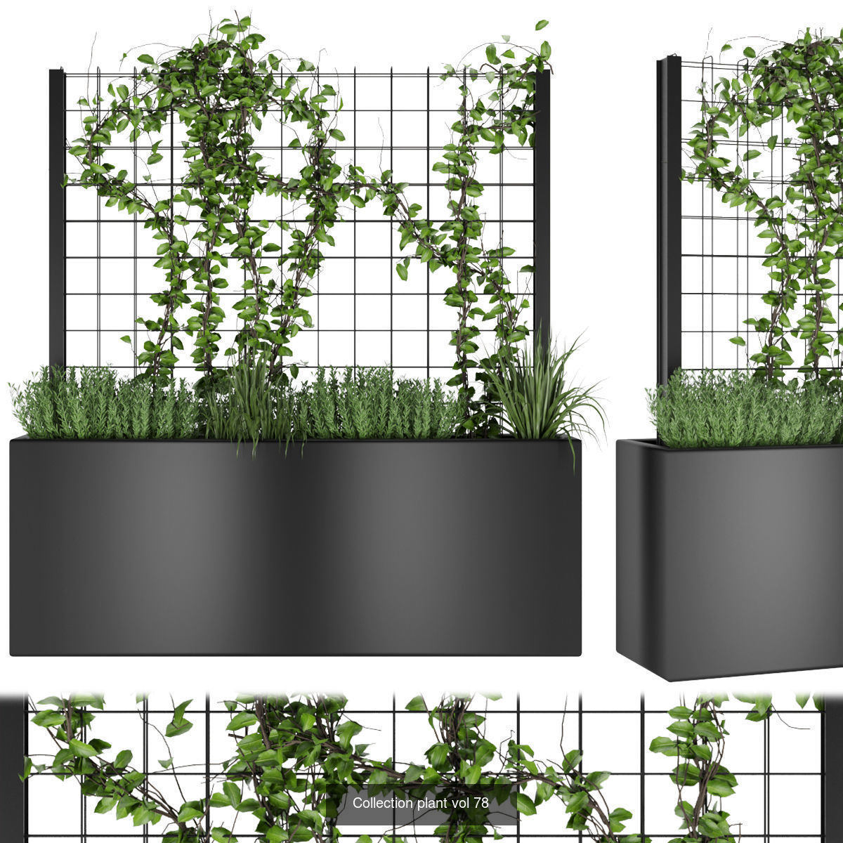 Collection plant vol 02 - fitowall - ertical  _14