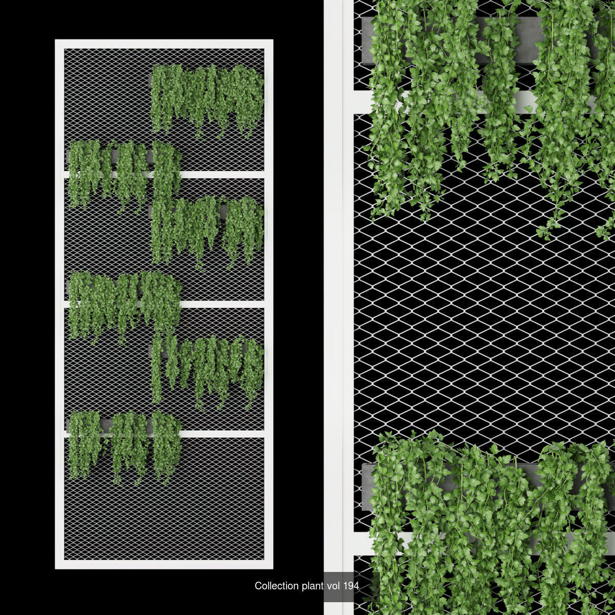 Collection plant vol 02 - fitowall - ertical  _24