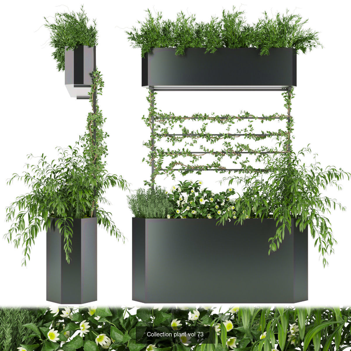 Collection plant vol 02 - fitowall - ertical  _13