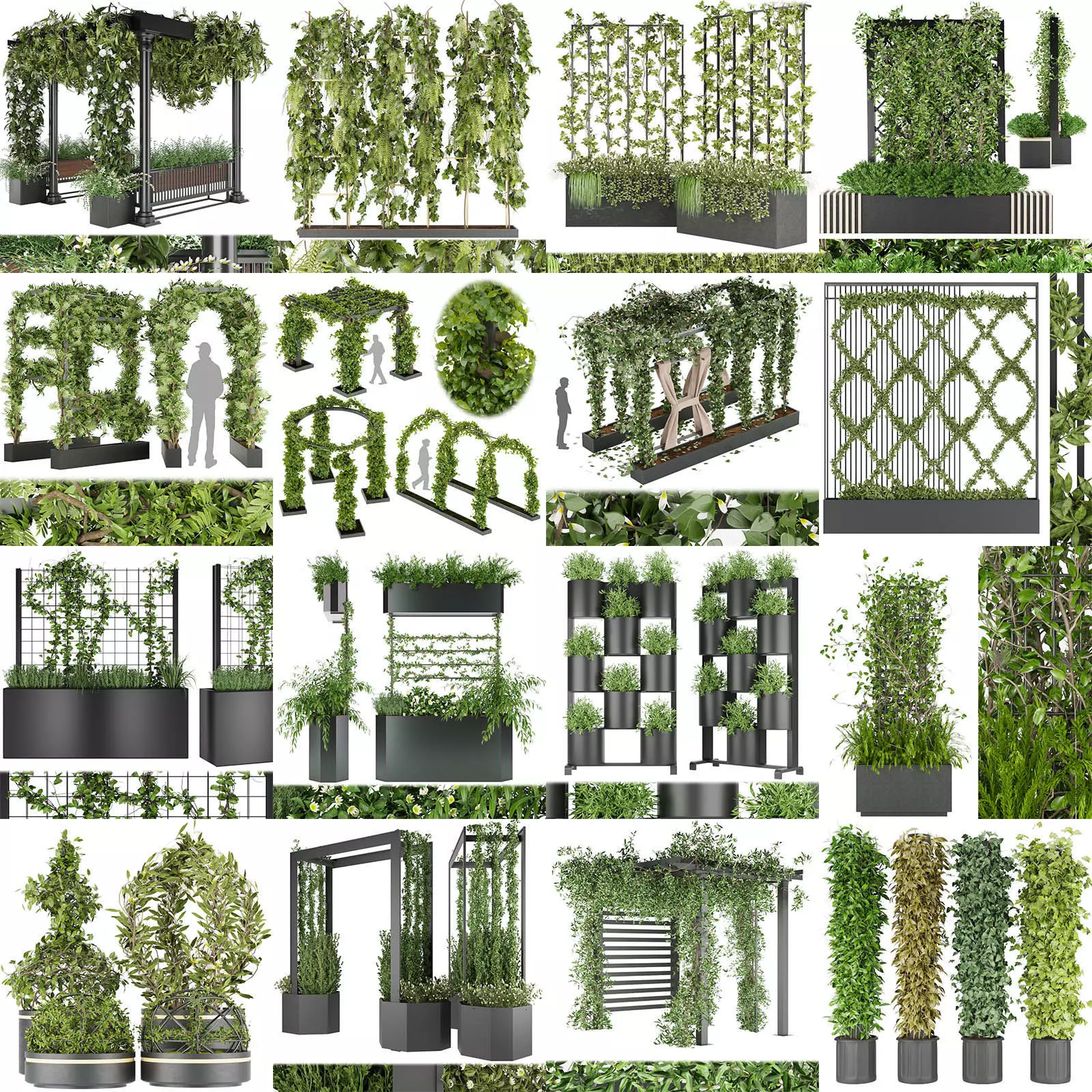 Collection plant vol 02 - fitowall - ertical  _1