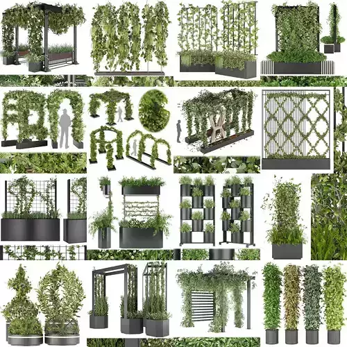 Collection plant vol 02 - fitowall - ertical  