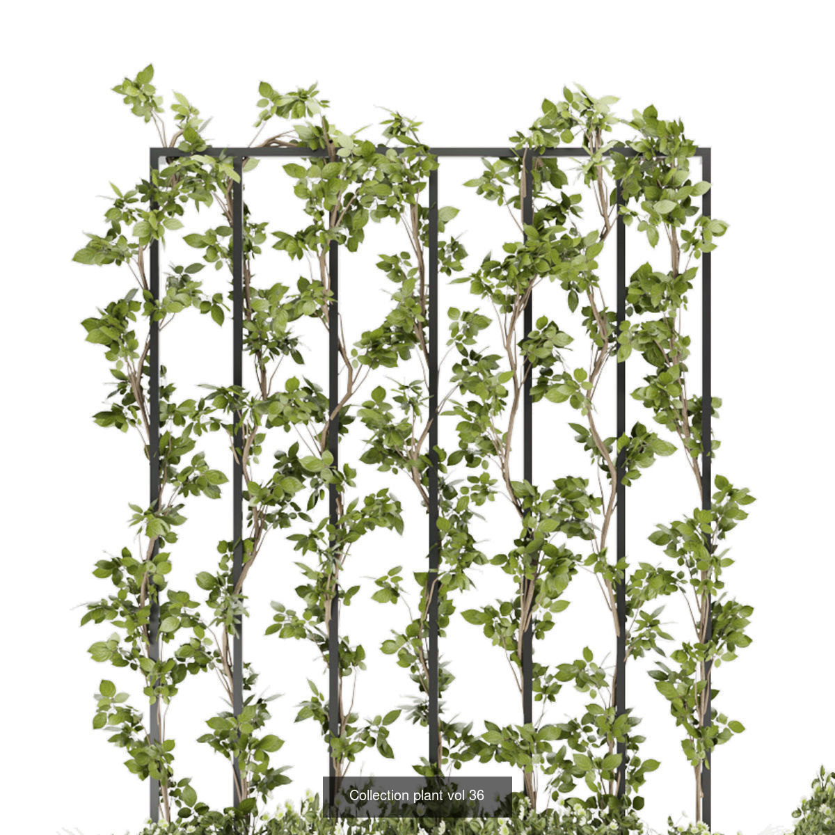 Collection plant vol 02 - fitowall - ertical  _10