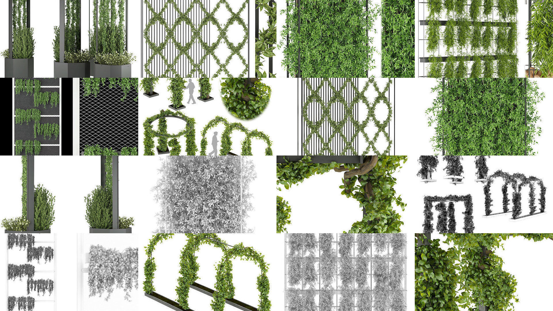 Collection plant vol 02 - fitowall - ertical  _2
