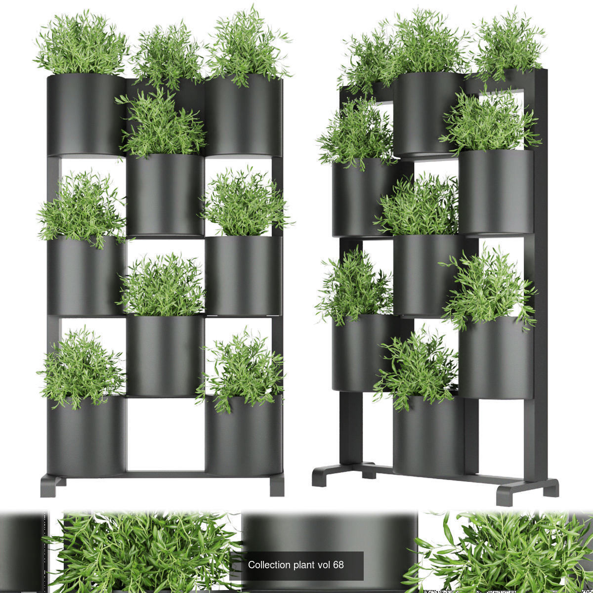 Collection plant vol 02 - fitowall - ertical  _12