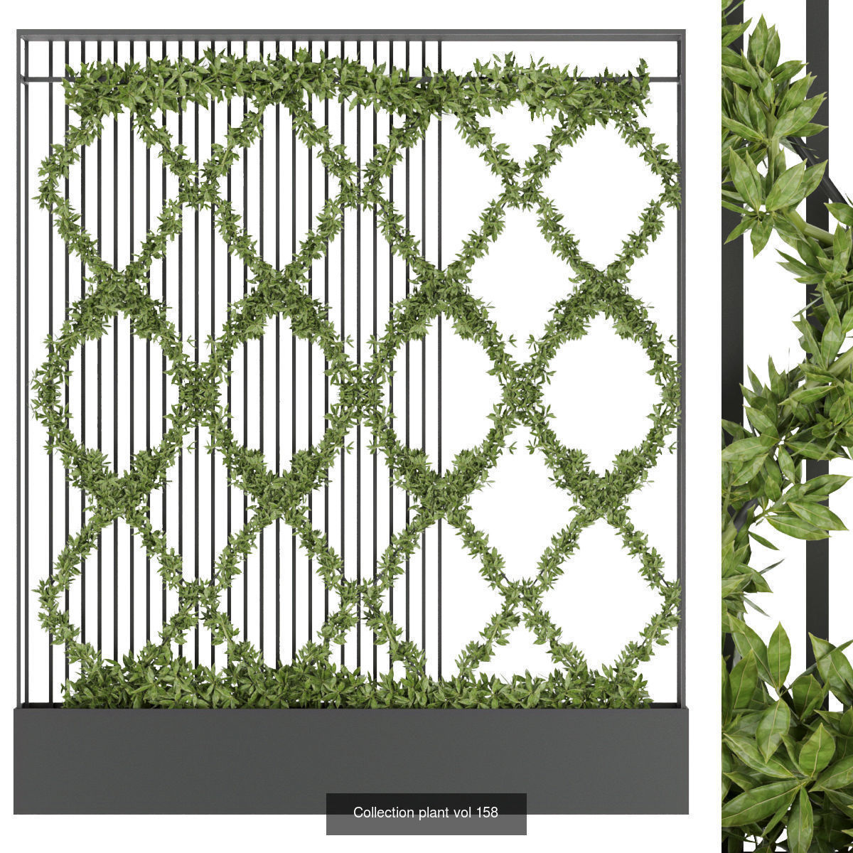 Collection plant vol 02 - fitowall - ertical  _21