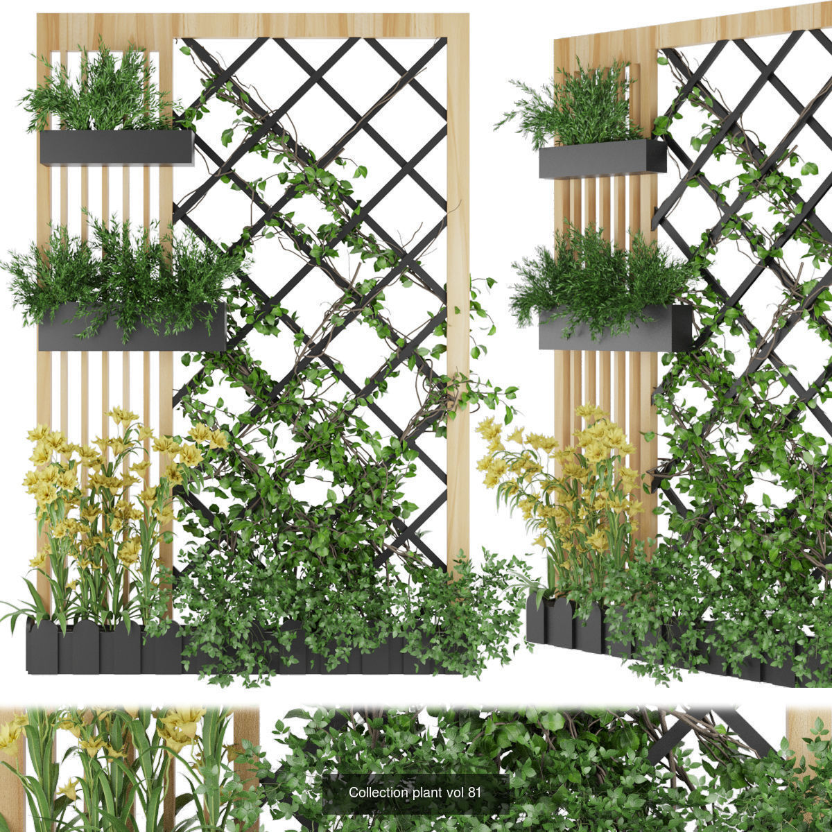 Collection plant vol 02 - fitowall - ertical  _16