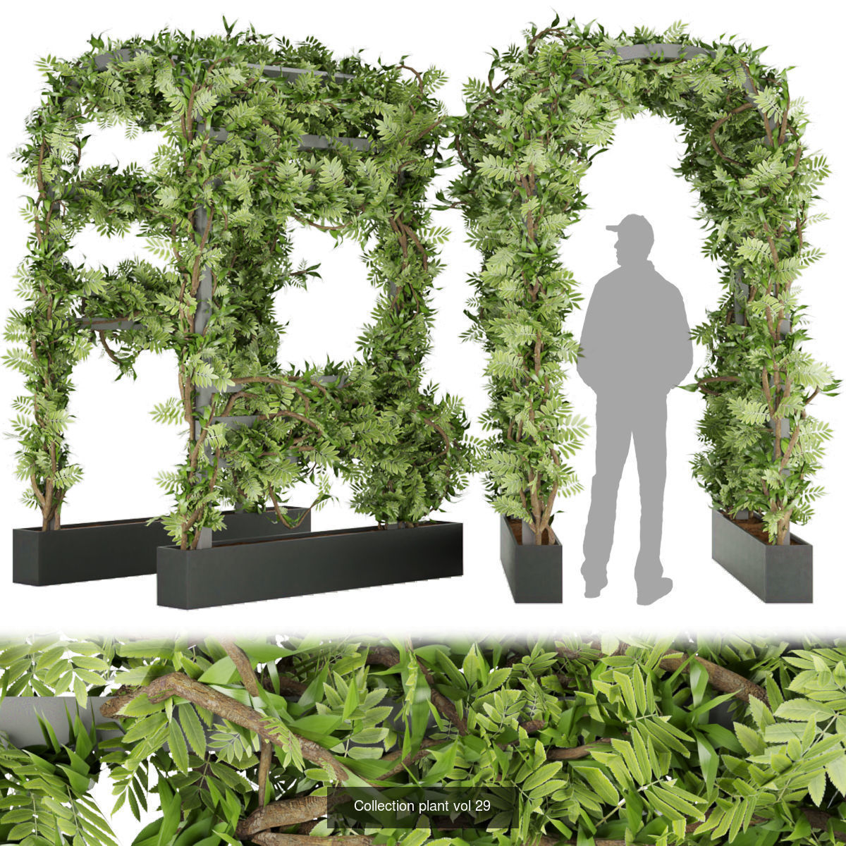 Collection plant vol 02 - fitowall - ertical  _7