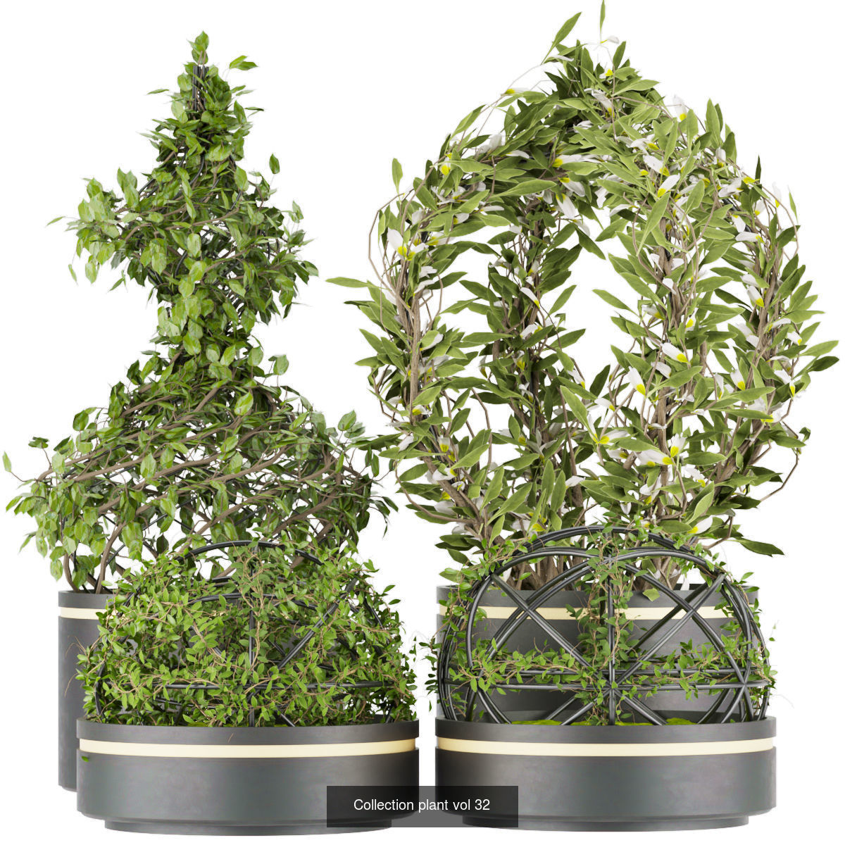 Collection plant vol 02 - fitowall - ertical  _8