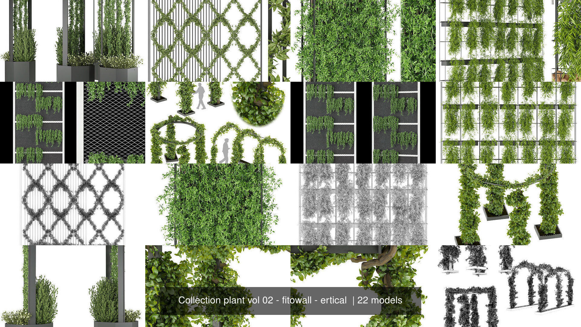 Collection plant vol 02 - fitowall - ertical  _3