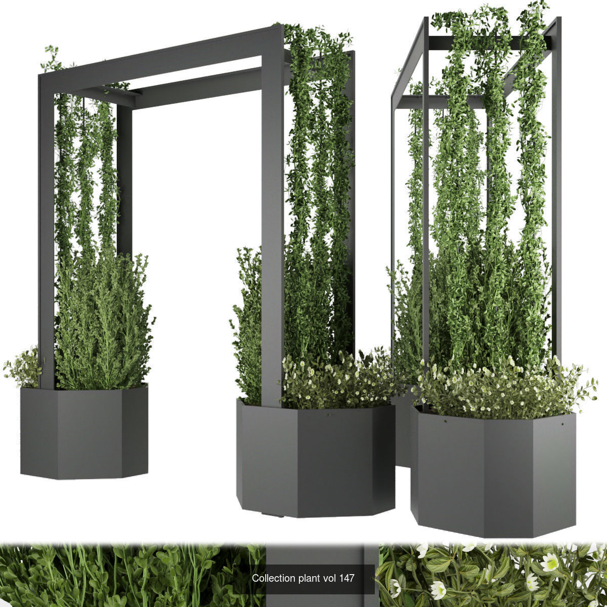 Collection plant vol 02 - fitowall - ertical  _20