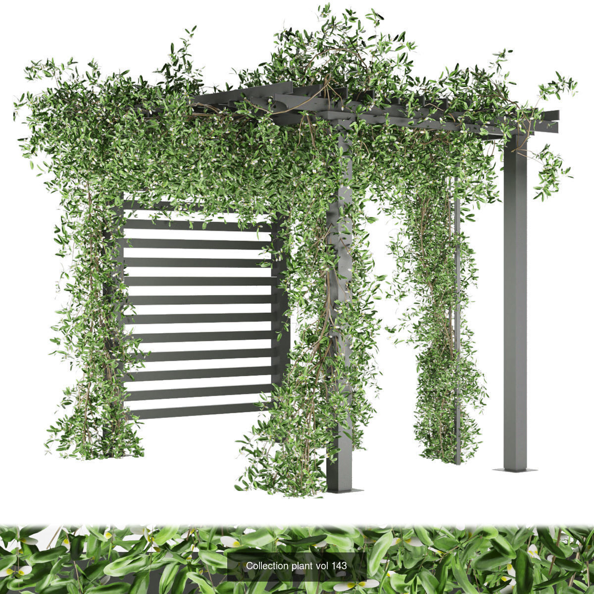 Collection plant vol 02 - fitowall - ertical  _19