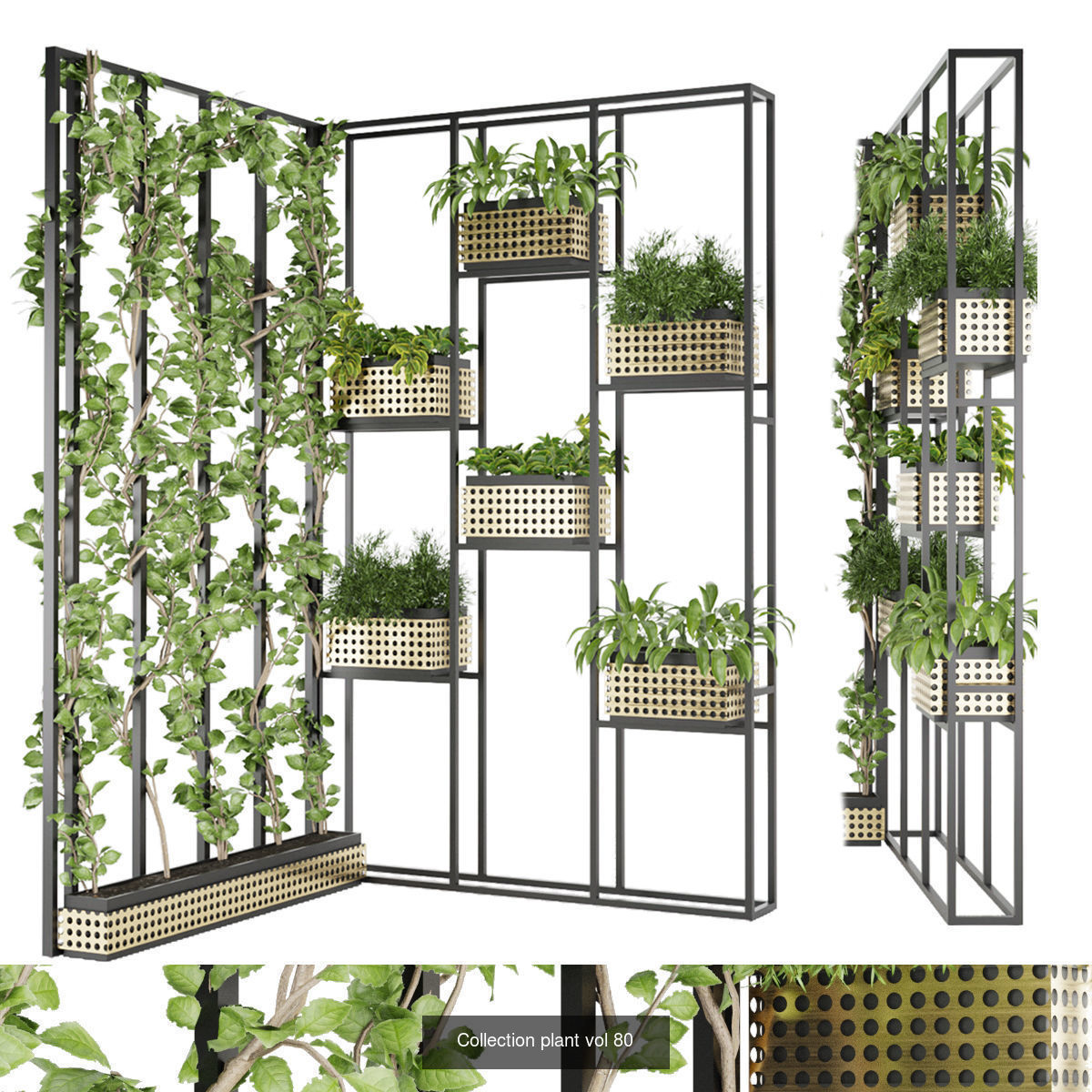 Collection plant vol 02 - fitowall - ertical  _15