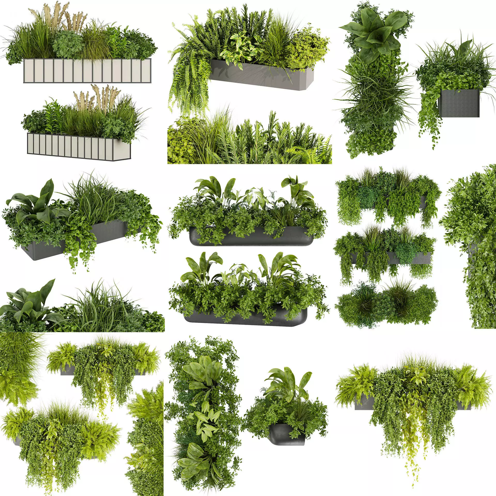  Collection plant vol 02 balcony _1