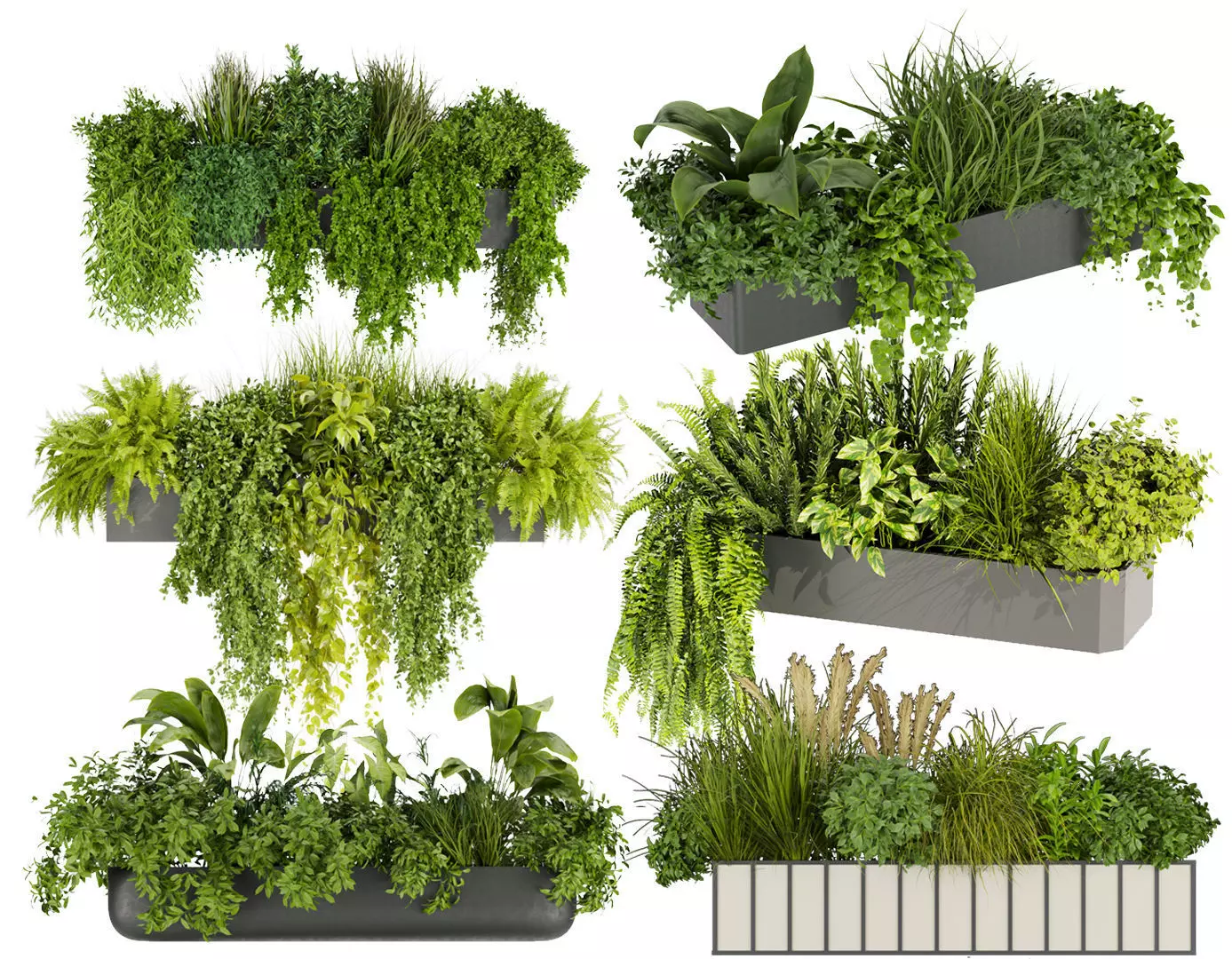  Collection plant vol 02 balcony _0