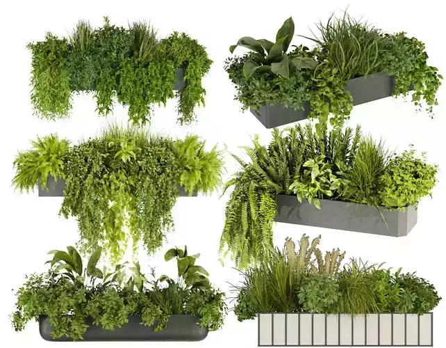  Collection plant vol 02 balcony 