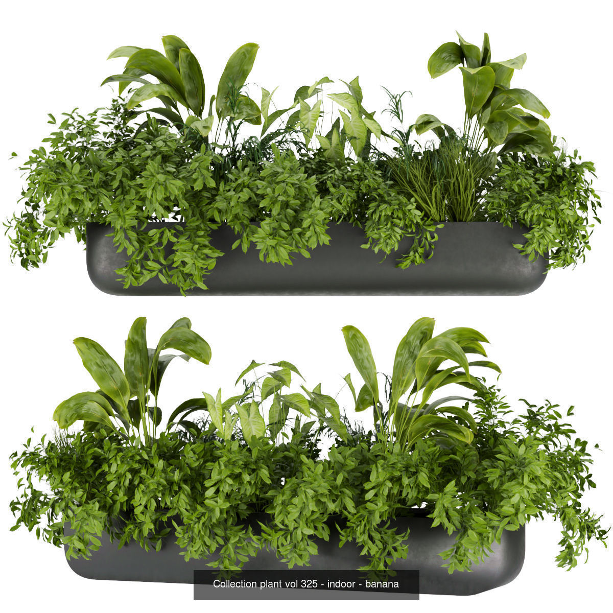  Collection plant vol 02 balcony _4