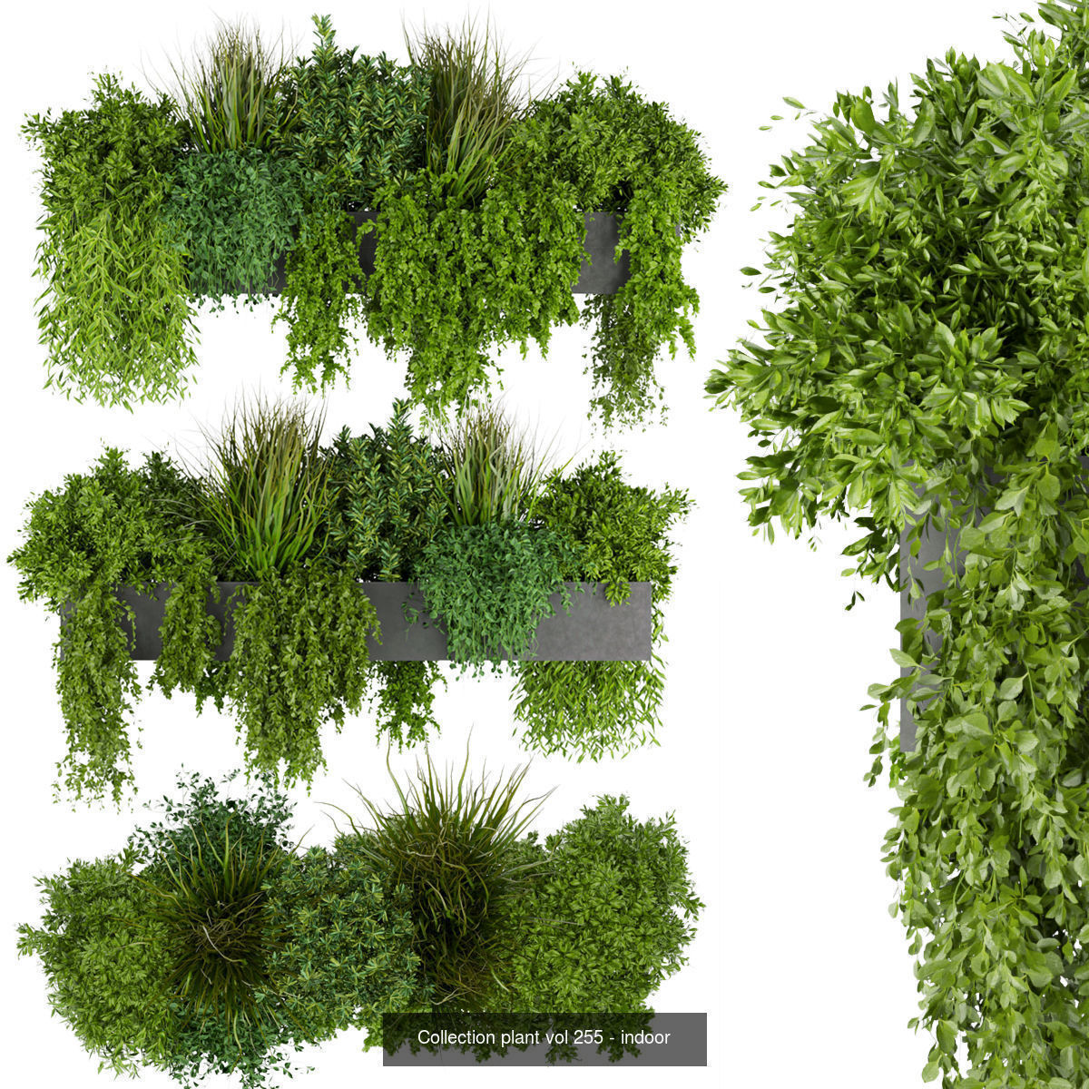  Collection plant vol 02 balcony _2