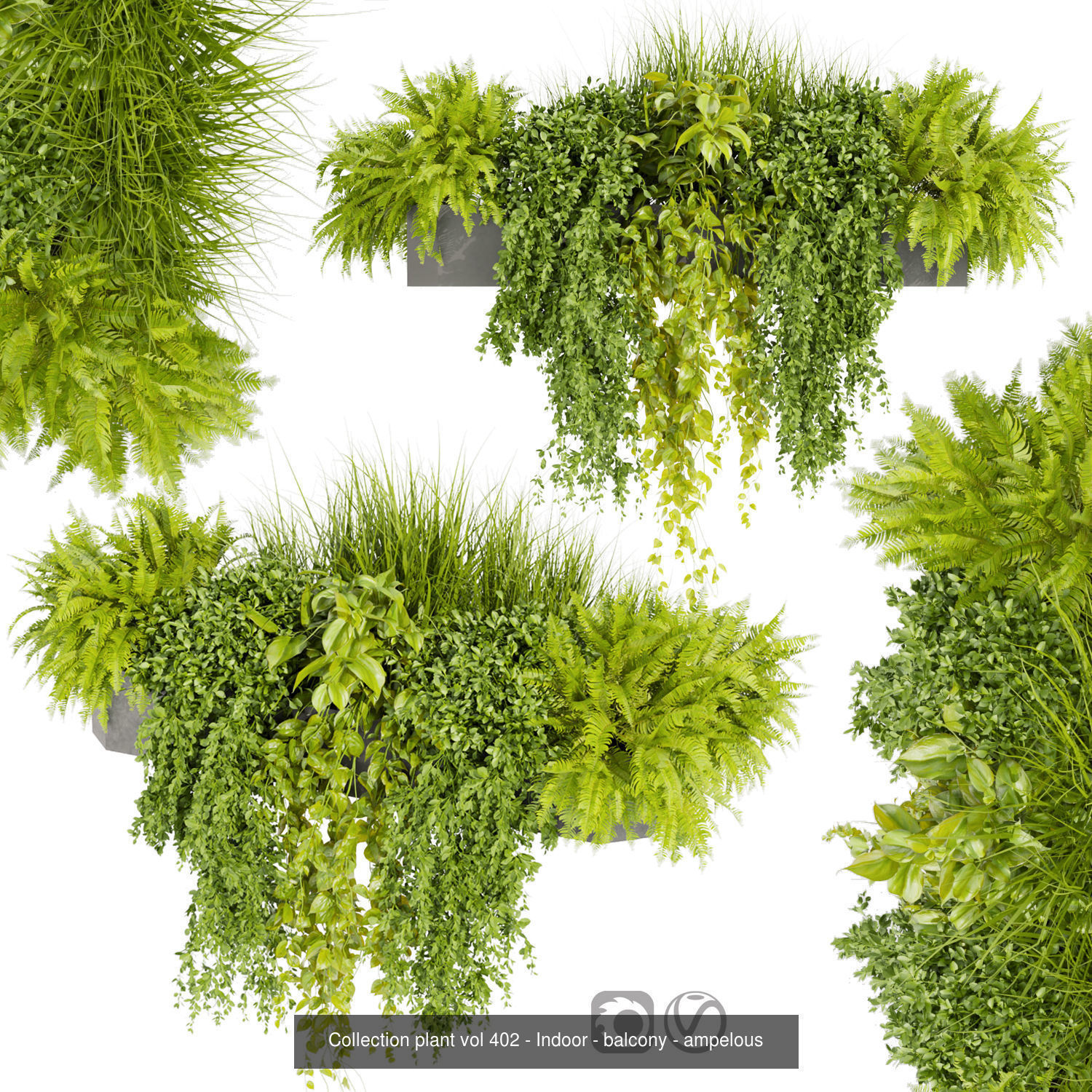  Collection plant vol 02 balcony _6