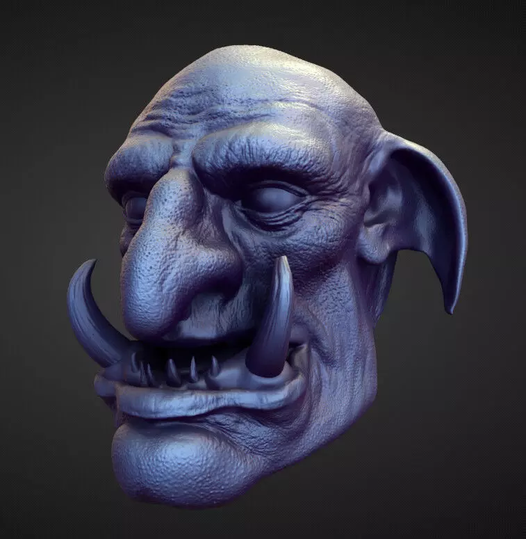 HEAD14 high poly sculpt 3D model_0