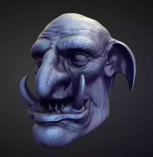 HEAD14 high poly sculpt 3D model