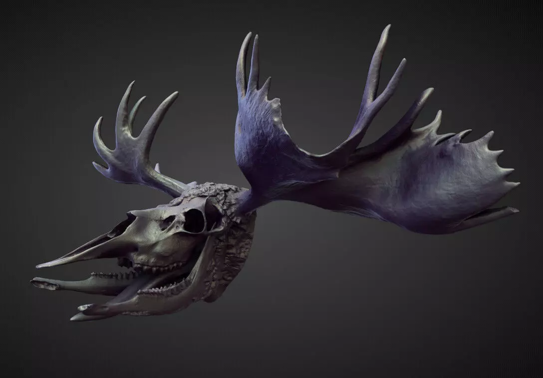 HEAD23 high poly sculpt 3D model_0