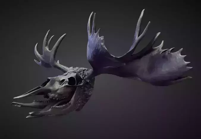 HEAD23 high poly sculpt 3D model