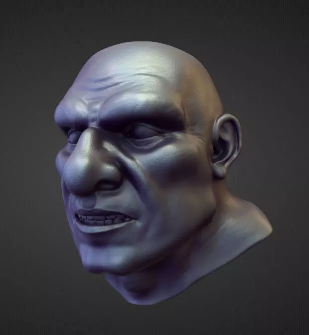 HEAD31 high poly sculpt 3D model_0
