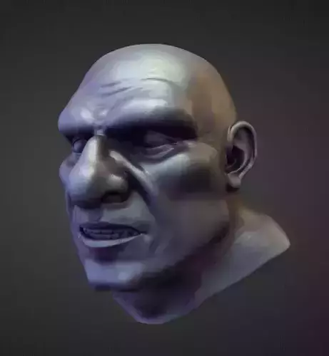 HEAD31 high poly sculpt 3D model