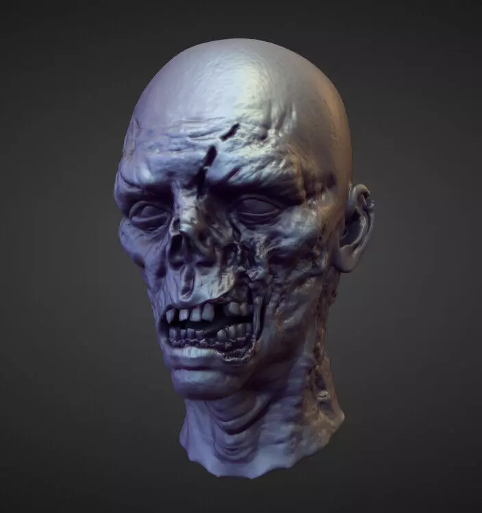 HEAD34 high poly sculpt 3D model_0