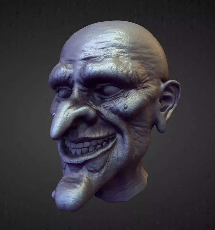 HEAD38 high poly sculpt 3D model_0