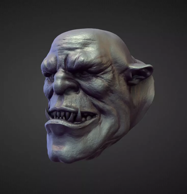HEAD41 high poly sculpt 3D model_0